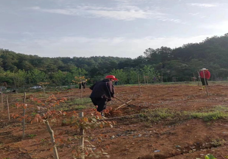 澧縣土地資源,澧縣公共基礎設施,澧縣工商業(yè)信息咨詢,澧縣澧州實業(yè)發(fā)展有限公司